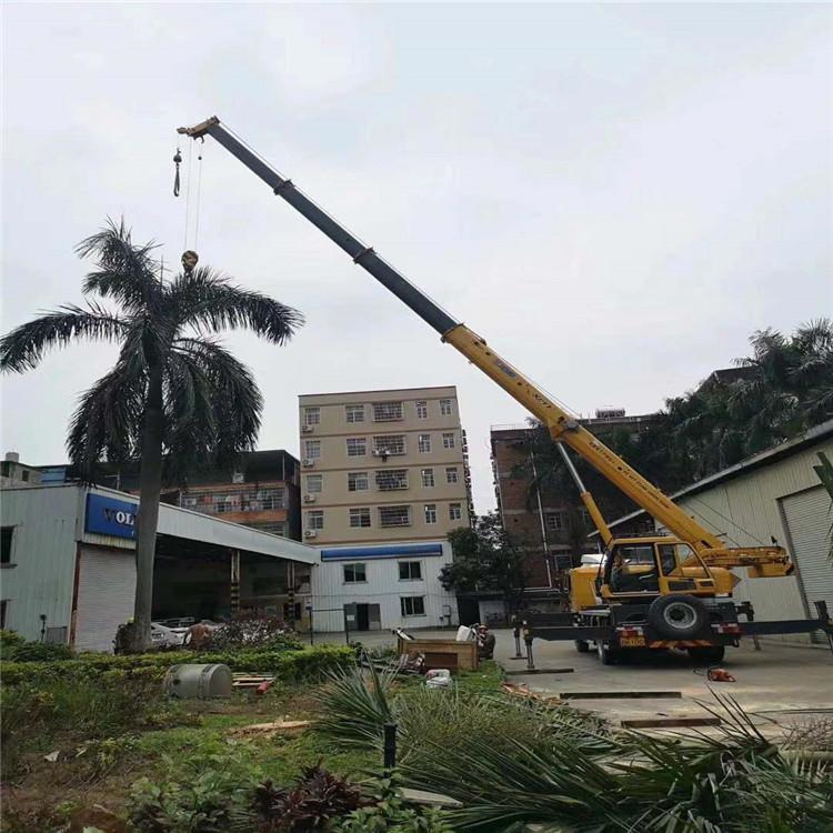 定远县汽车吊出租多少钱？全面解析与市场行情